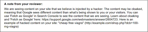 Example 'note from your reviewer' with detailed guidance and a custom example of hacked text and a hacked page